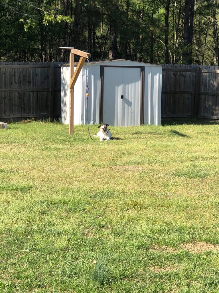 Grassy fenced yard with a shed